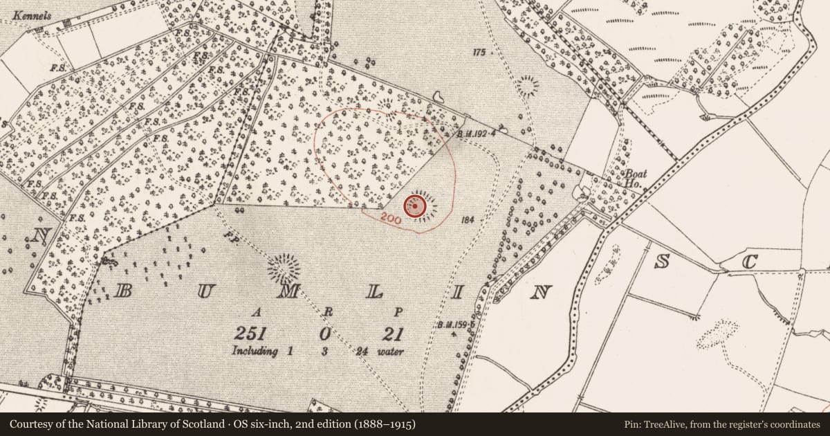 Ordnance Survey six-inch map, 2nd edition (1888–1915) covering the location of Ringfort - rath, Bumlin, County Roscommon, with a pin at the register's coordinates