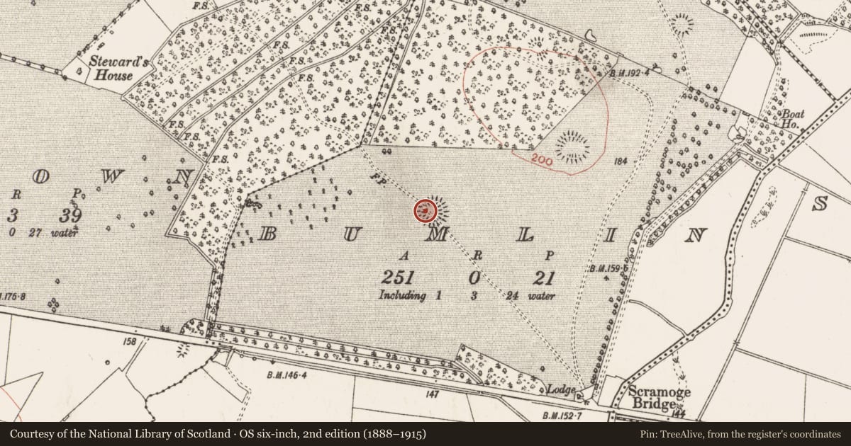 Ordnance Survey six-inch map, 2nd edition (1888–1915) covering the location of Ringfort - rath, Bumlin, County Roscommon, with a pin at the register's coordinates