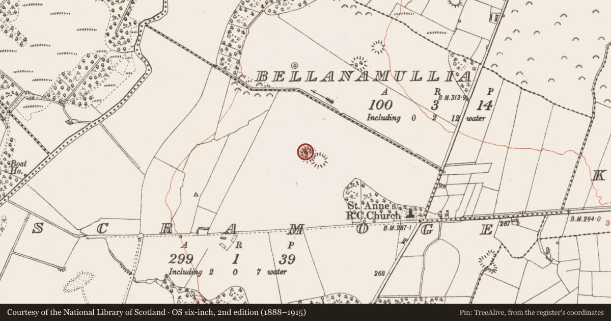Ordnance Survey six-inch map, 2nd edition (1888–1915) covering the location of Ringfort - rath, Scramoge, County Roscommon, with a pin at the register's coordinates