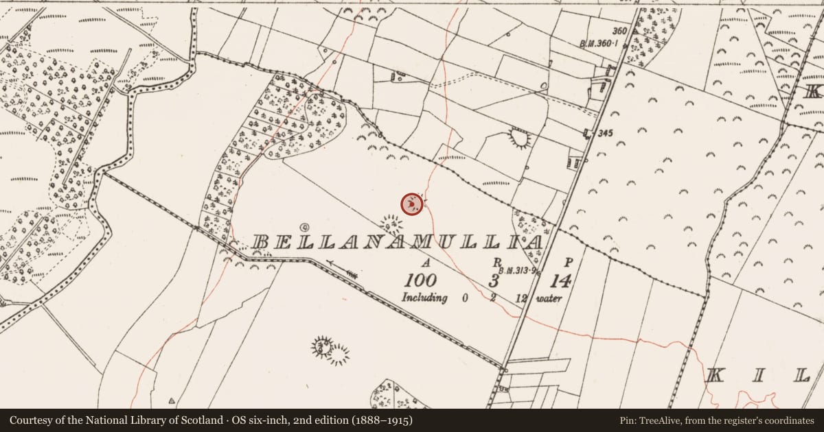 Ordnance Survey six-inch map, 2nd edition (1888–1915) covering the location of Ringfort - rath, Bellanamullia, County Roscommon, with a pin at the register's coordinates