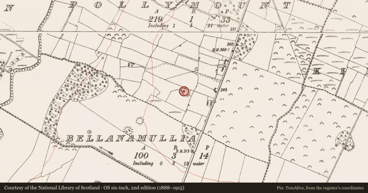Ordnance Survey six-inch map, 2nd edition (1888–1915) covering the location of Ringfort - rath, Pollymount, County Roscommon, with a pin at the register's coordinates
