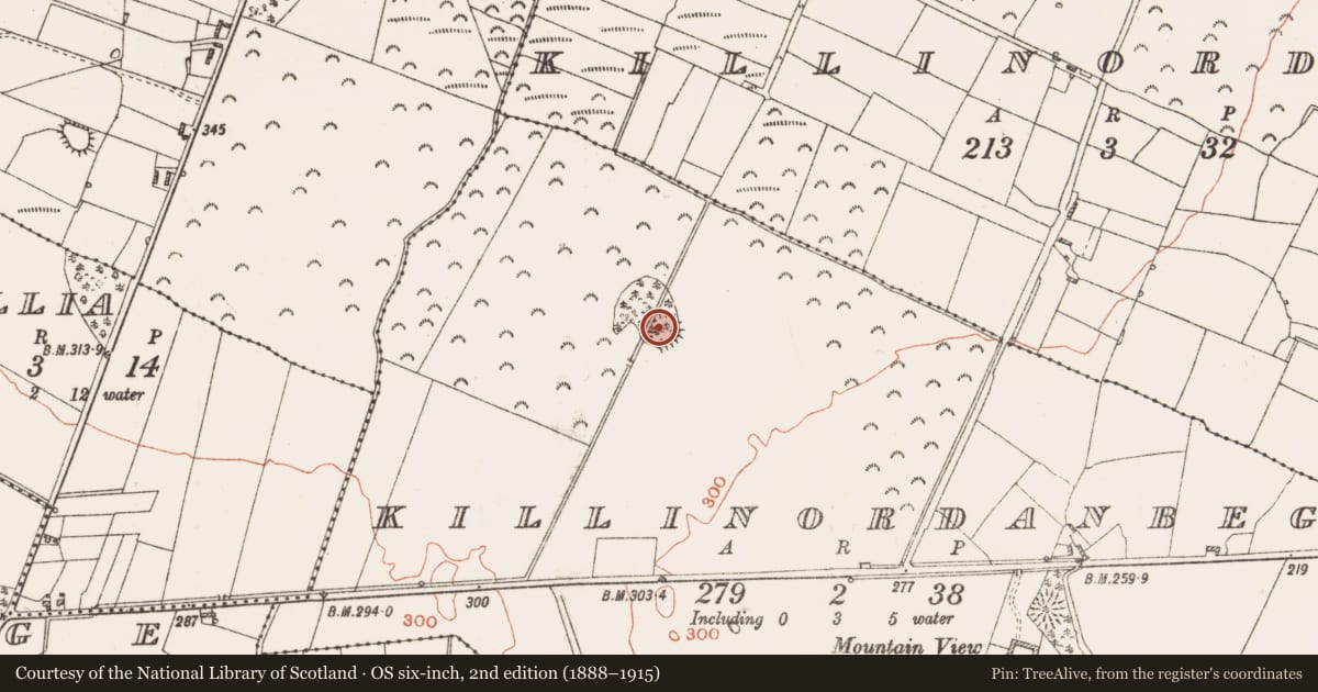 Ordnance Survey six-inch map, 2nd edition (1888–1915) covering the location of Ringfort - rath, Killinordanbeg, County Roscommon, with a pin at the register's coordinates