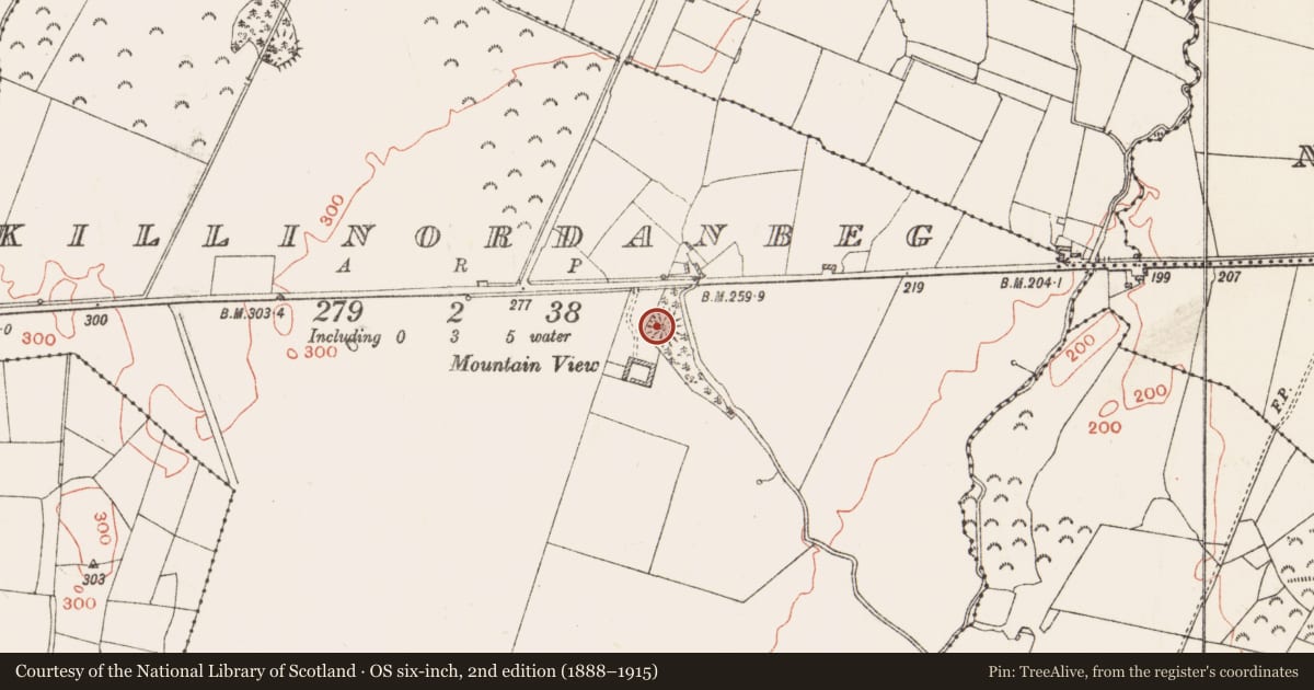 Ordnance Survey six-inch map, 2nd edition (1888–1915) covering the location of Ringfort - rath, Killinordanbeg, County Roscommon, with a pin at the register's coordinates