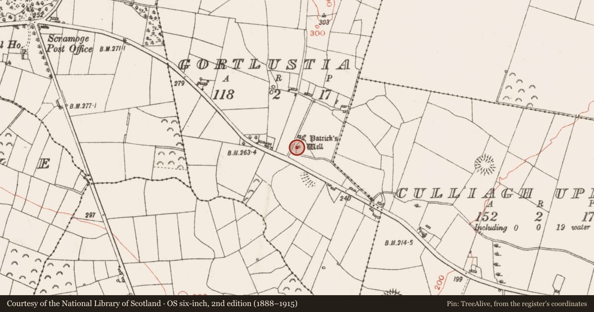 Ordnance Survey six-inch map, 2nd edition (1888–1915) covering the location of Penitential station, Gortlustia, County Roscommon, with a pin at the register's coordinates