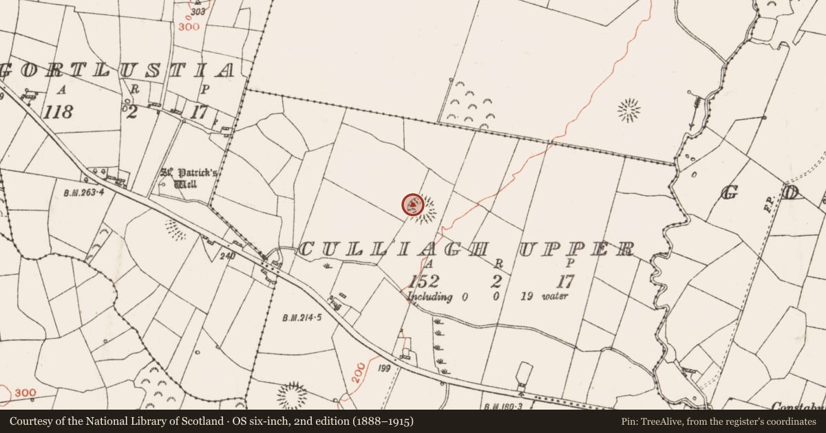 Ordnance Survey six-inch map, 2nd edition (1888–1915) covering the location of Hut site, Culliagh Upper, County Roscommon, with a pin at the register's coordinates