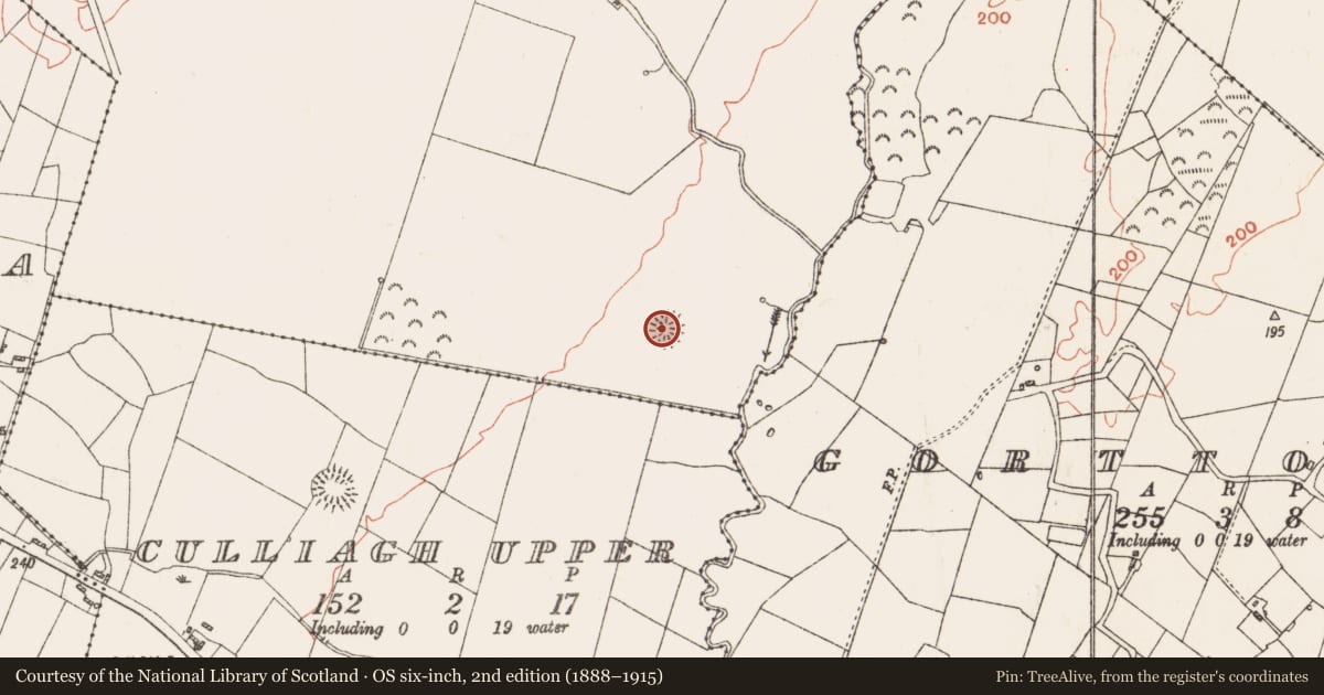 Ordnance Survey six-inch map, 2nd edition (1888–1915) covering the location of Ringfort - rath, Killinordanbeg, County Roscommon, with a pin at the register's coordinates