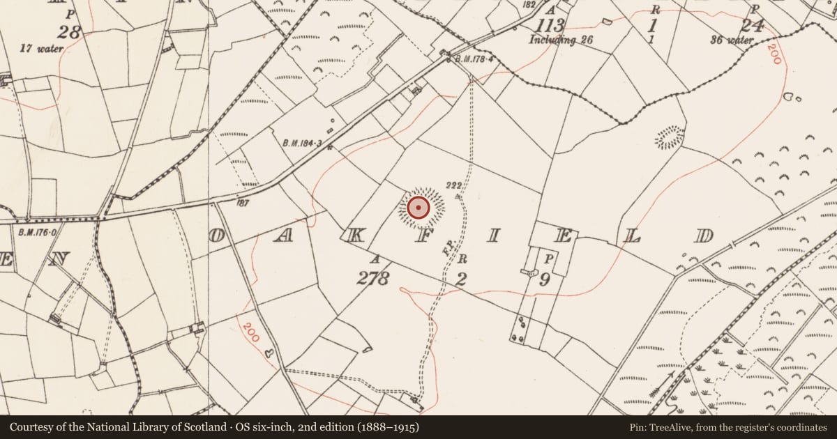 Ordnance Survey six-inch map, 2nd edition (1888–1915) covering the location of Enclosure - large enclosure, Oakfield, County Roscommon, with a pin at the register's coordinates