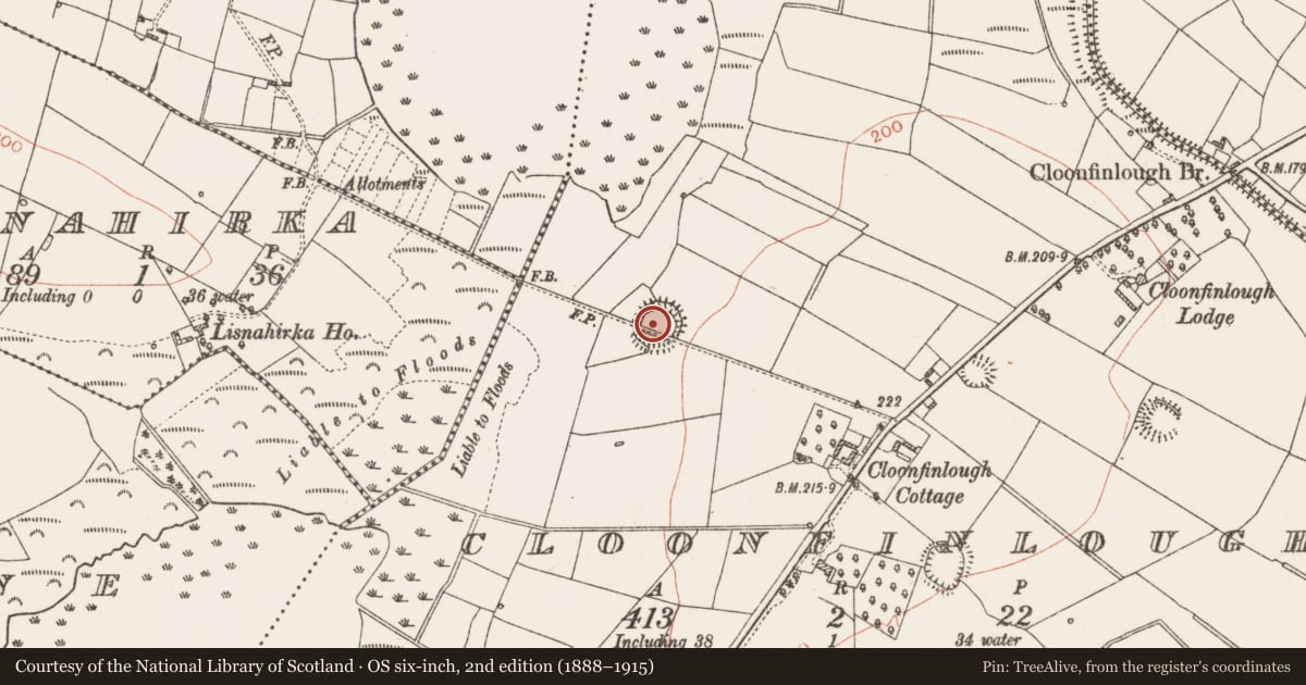 Ordnance Survey six-inch map, 2nd edition (1888–1915) covering the location of Ringfort - rath, Cloonfinlough, County Roscommon, with a pin at the register's coordinates