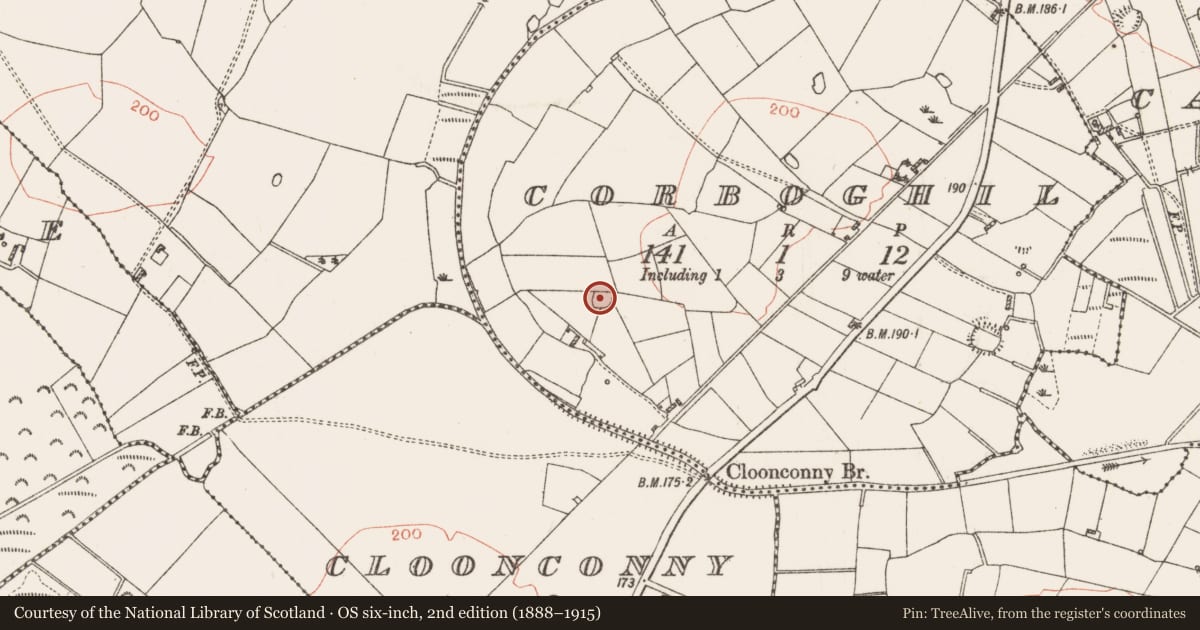 Ordnance Survey six-inch map, 2nd edition (1888–1915) covering the location of Ringfort - rath, Corboghil, County Roscommon, with a pin at the register's coordinates