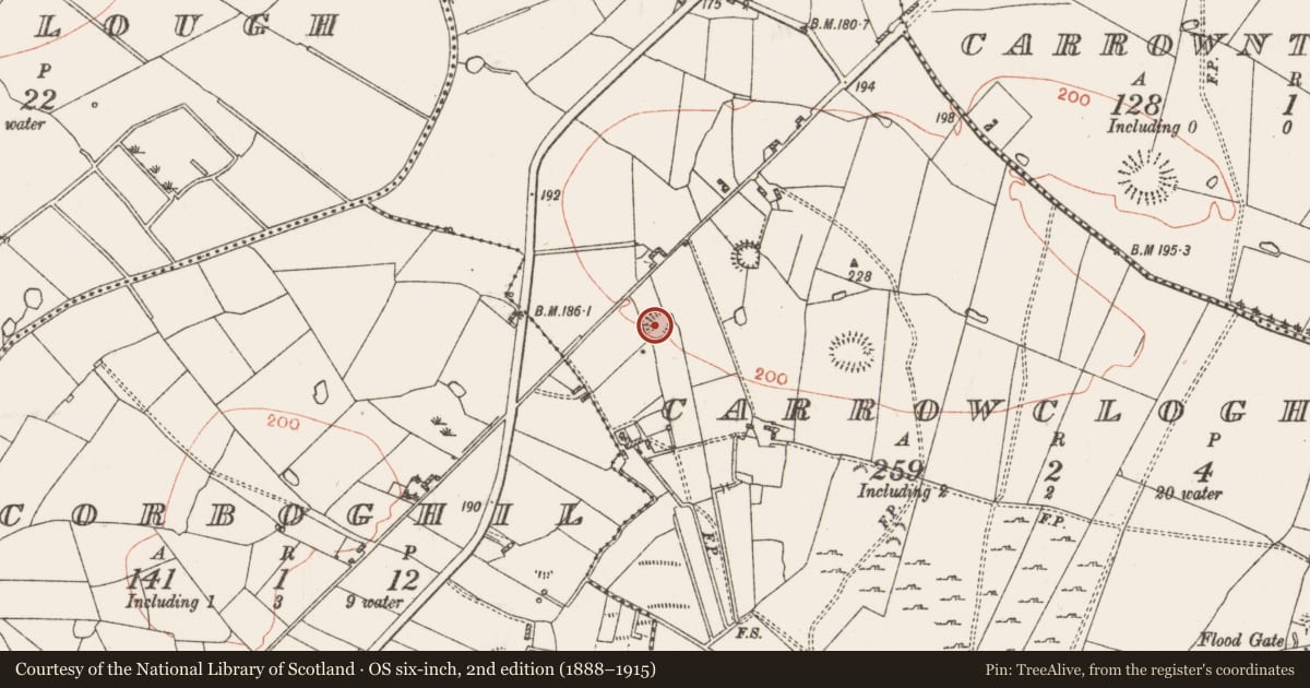 Ordnance Survey six-inch map, 2nd edition (1888–1915) covering the location of Ringfort - rath, Carrowclogher, County Roscommon, with a pin at the register's coordinates
