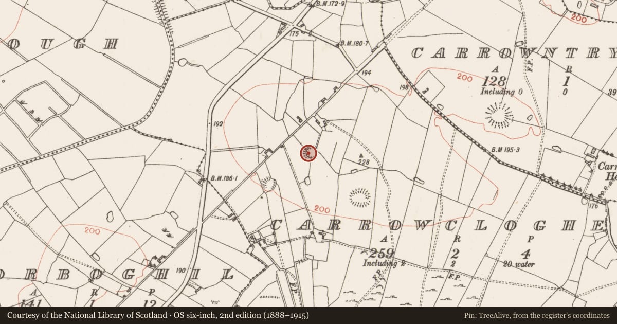 Ordnance Survey six-inch map, 2nd edition (1888–1915) covering the location of Ringfort - rath, Carrowclogher, County Roscommon, with a pin at the register's coordinates