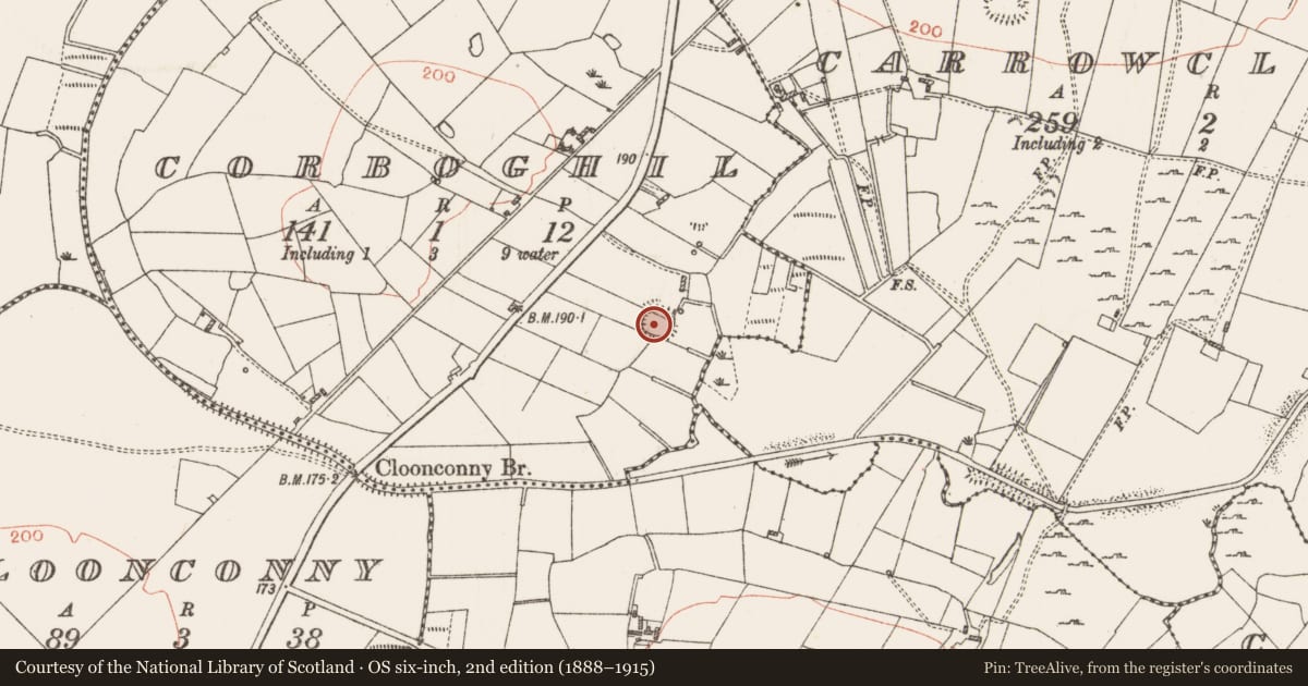 Ordnance Survey six-inch map, 2nd edition (1888–1915) covering the location of Ringfort - rath, Corboghil, County Roscommon, with a pin at the register's coordinates