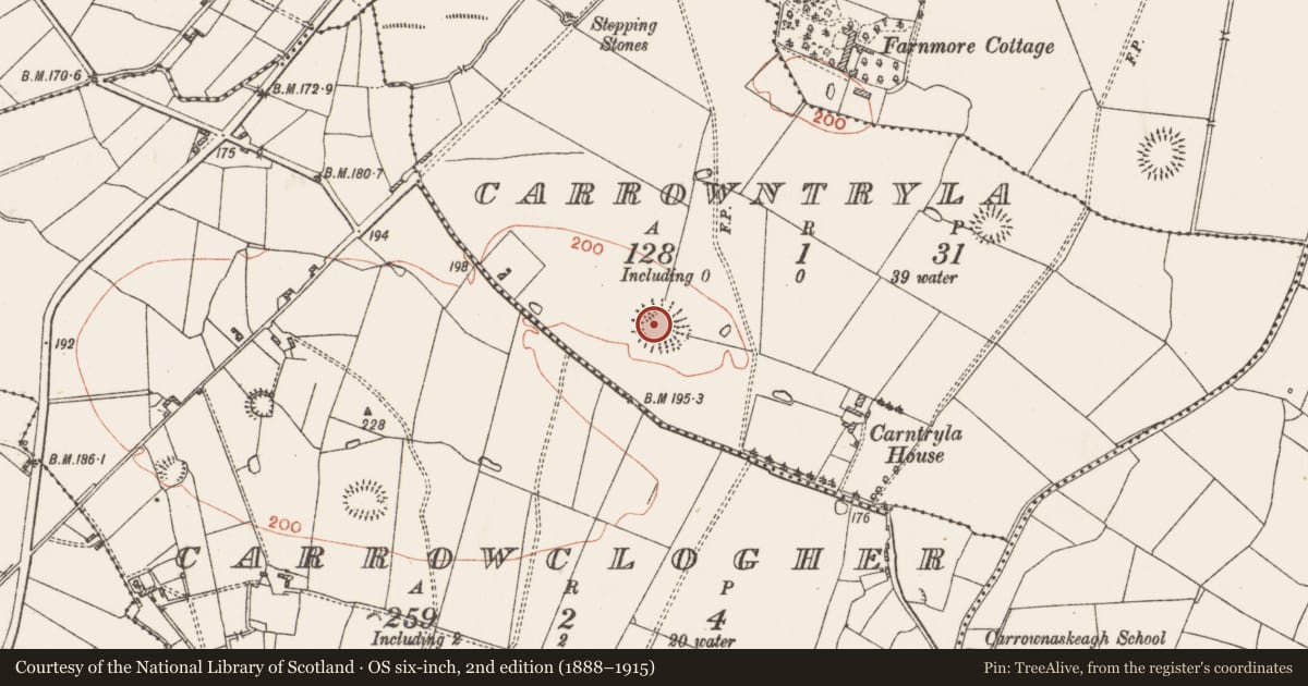 Ordnance Survey six-inch map, 2nd edition (1888–1915) covering the location of Ringfort - rath, Carrowntryla, County Roscommon, with a pin at the register's coordinates