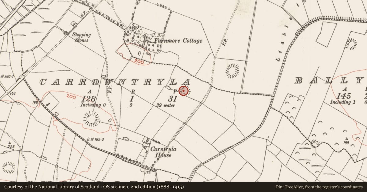 Ordnance Survey six-inch map, 2nd edition (1888–1915) covering the location of Ringfort - rath, Carrowntryla, County Roscommon, with a pin at the register's coordinates