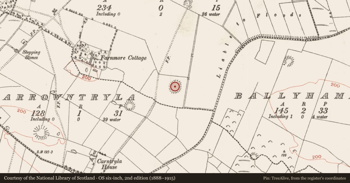 Ordnance Survey six-inch map, 2nd edition (1888–1915) covering the location of Ringfort - rath, Farnmore, County Roscommon, with a pin at the register's coordinates
