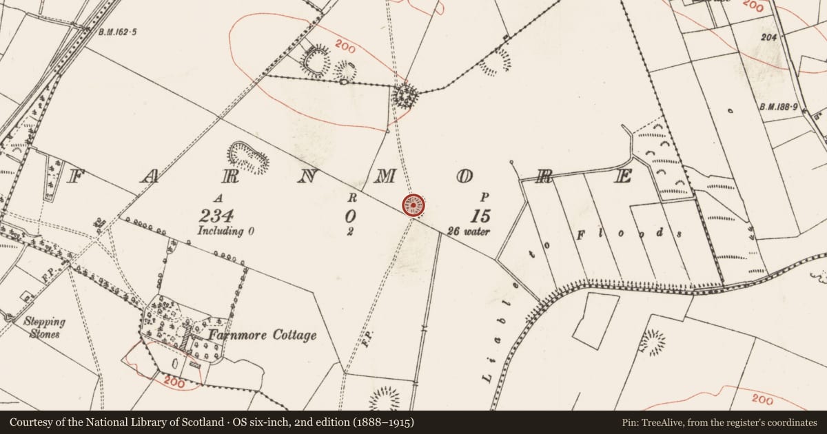 Ordnance Survey six-inch map, 2nd edition (1888–1915) covering the location of Ringfort - rath, Farnmore, County Roscommon, with a pin at the register's coordinates