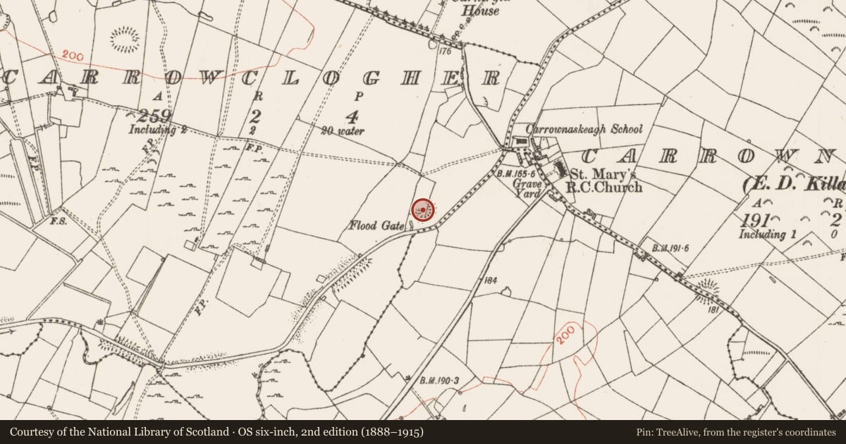 Ordnance Survey six-inch map, 2nd edition (1888–1915) covering the location of Ringfort - rath, Carrowclogher, County Roscommon, with a pin at the register's coordinates