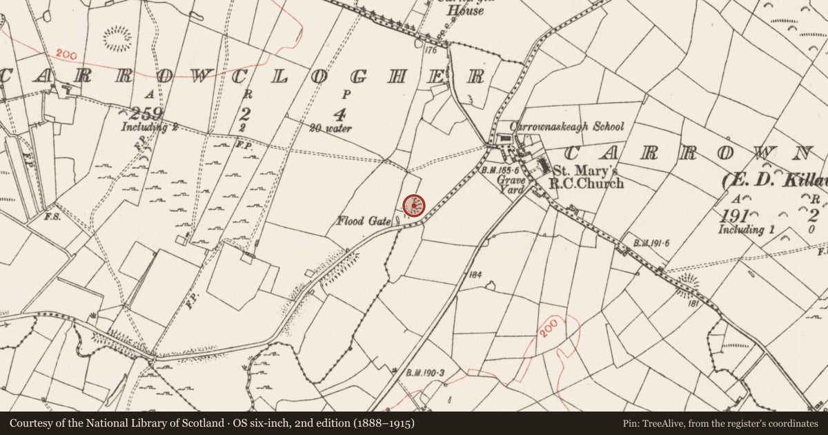 Ordnance Survey six-inch map, 2nd edition (1888–1915) covering the location of House - indeterminate date, Carrowclogher, County Roscommon, with a pin at the register's coordinates