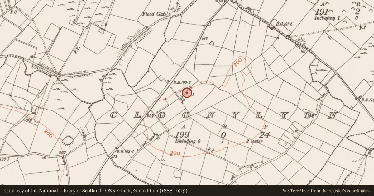 Ordnance Survey six-inch map, 2nd edition (1888–1915) covering the location of Ringfort - rath, Cloonylyon, County Roscommon, with a pin at the register's coordinates