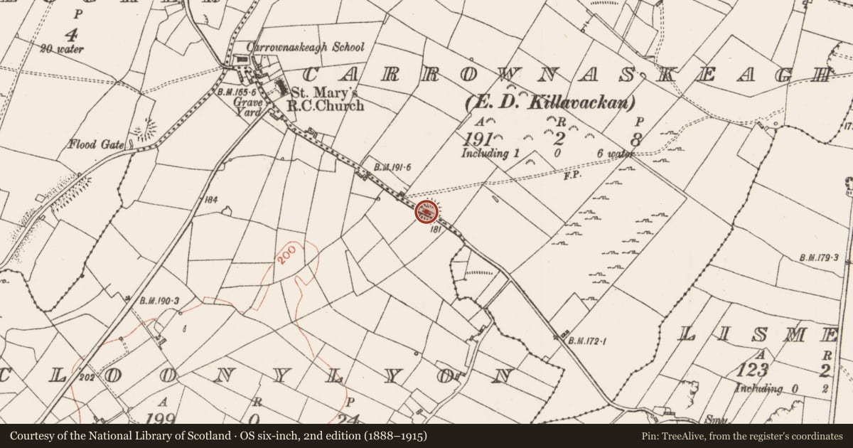 Ordnance Survey six-inch map, 2nd edition (1888–1915) covering the location of Ringfort - rath, Carrownaskeagh (, Cloonylyon, County Roscommon, with a pin at the register's coordinates