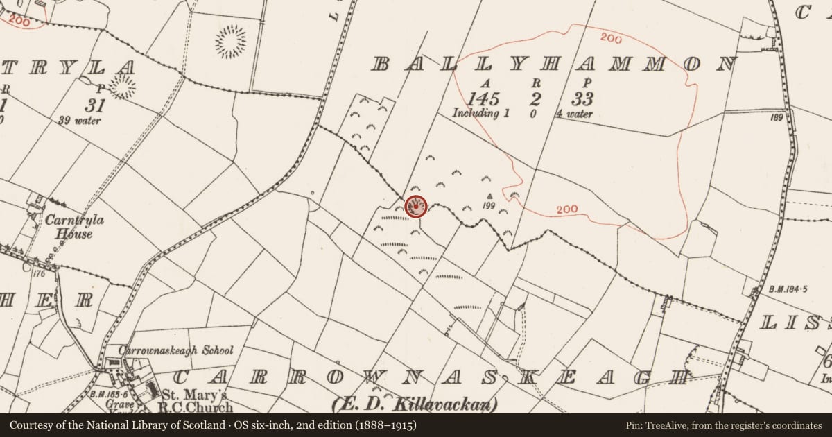Ordnance Survey six-inch map, 2nd edition (1888–1915) covering the location of Ringfort - rath, Ballyhammon, Carrownaskeagh, County Roscommon, with a pin at the register's coordinates
