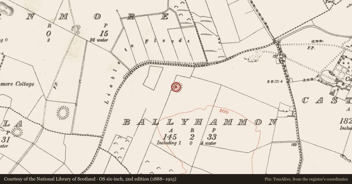 Ordnance Survey six-inch map, 2nd edition (1888–1915) covering the location of Ringfort - rath, Ballyhammon, County Roscommon, with a pin at the register's coordinates