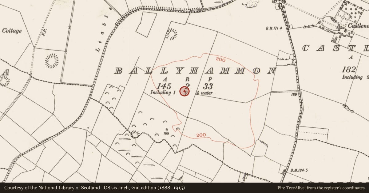 Ordnance Survey six-inch map, 2nd edition (1888–1915) covering the location of Ringfort - rath, Ballyhammon, County Roscommon, with a pin at the register's coordinates