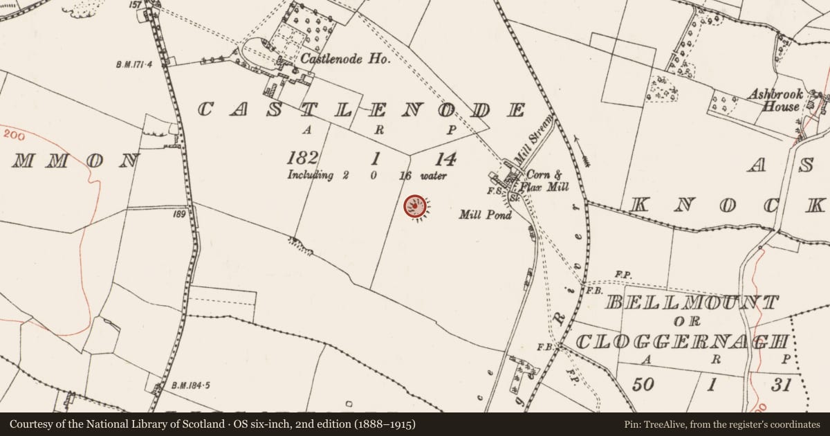 Ordnance Survey six-inch map, 2nd edition (1888–1915) covering the location of Ringfort - rath, Castlenode, County Roscommon, with a pin at the register's coordinates