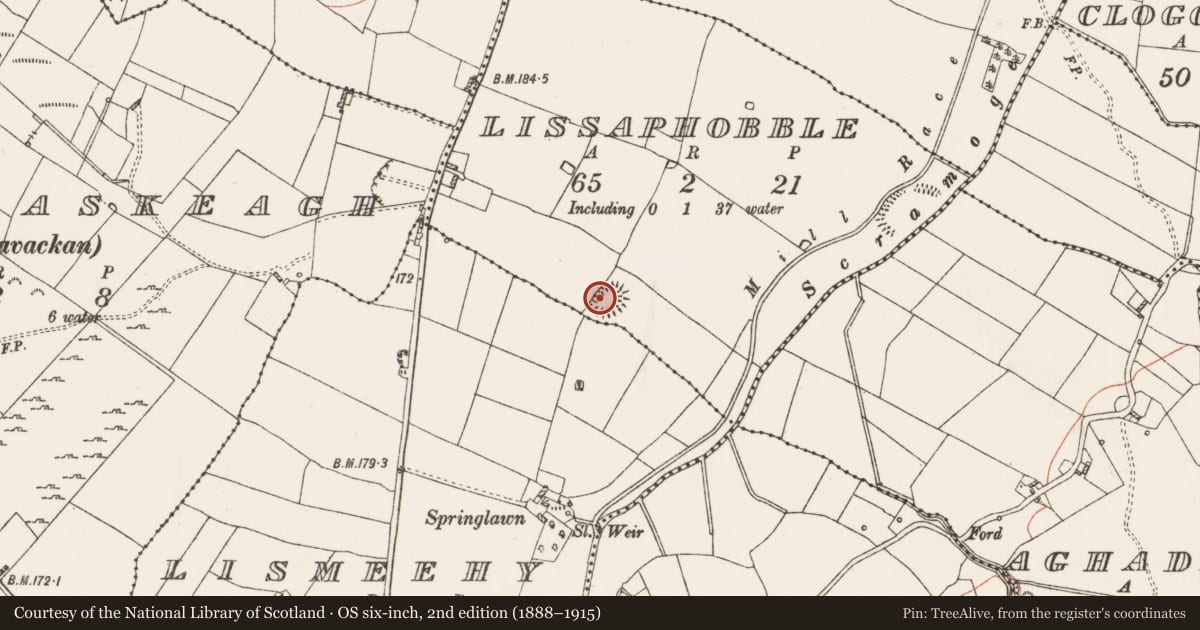Ordnance Survey six-inch map, 2nd edition (1888–1915) covering the location of Ringfort - rath, Lissaphobble, County Roscommon, with a pin at the register's coordinates
