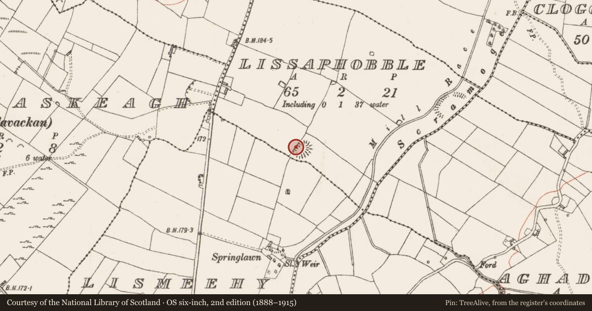 Ordnance Survey six-inch map, 2nd edition (1888–1915) covering the location of Souterrain, Lissaphobble, County Roscommon, with a pin at the register's coordinates