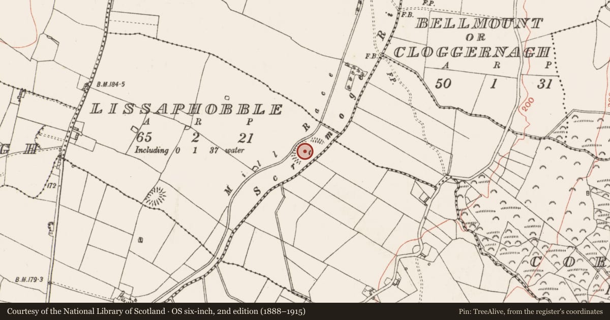 Ordnance Survey six-inch map, 2nd edition (1888–1915) covering the location of Enclosure - large enclosure, Lissaphobble, County Roscommon, with a pin at the register's coordinates