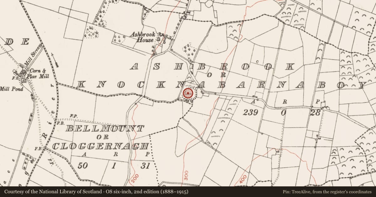 Ordnance Survey six-inch map, 2nd edition (1888–1915) covering the location of Ringfort - rath, Ashbrook Or Knocknabarnaboy, County Roscommon, with a pin at the register's coordinates