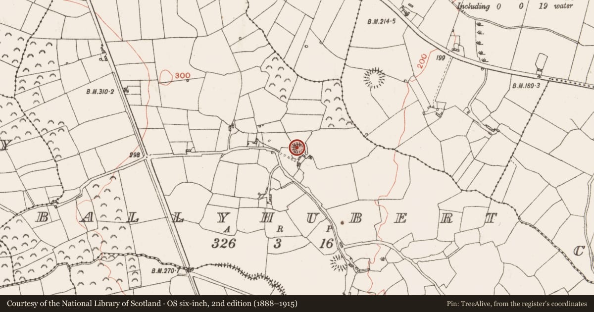 Ordnance Survey six-inch map, 2nd edition (1888–1915) covering the location of Ringfort - rath, Ballyhubert, County Roscommon, with a pin at the register's coordinates