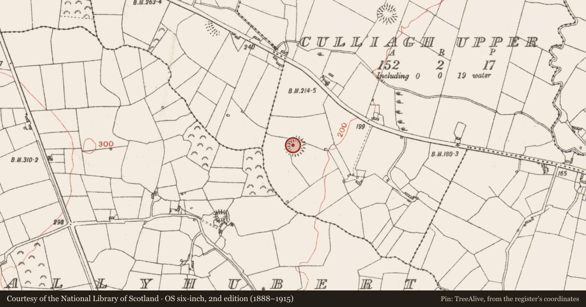 Ordnance Survey six-inch map, 2nd edition (1888–1915) covering the location of Ringfort - rath, Culliagh Upper, County Roscommon, with a pin at the register's coordinates