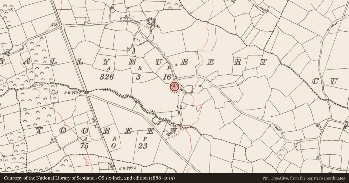 Ordnance Survey six-inch map, 2nd edition (1888–1915) covering the location of Ringfort - rath, Ballyhubert, County Roscommon, with a pin at the register's coordinates