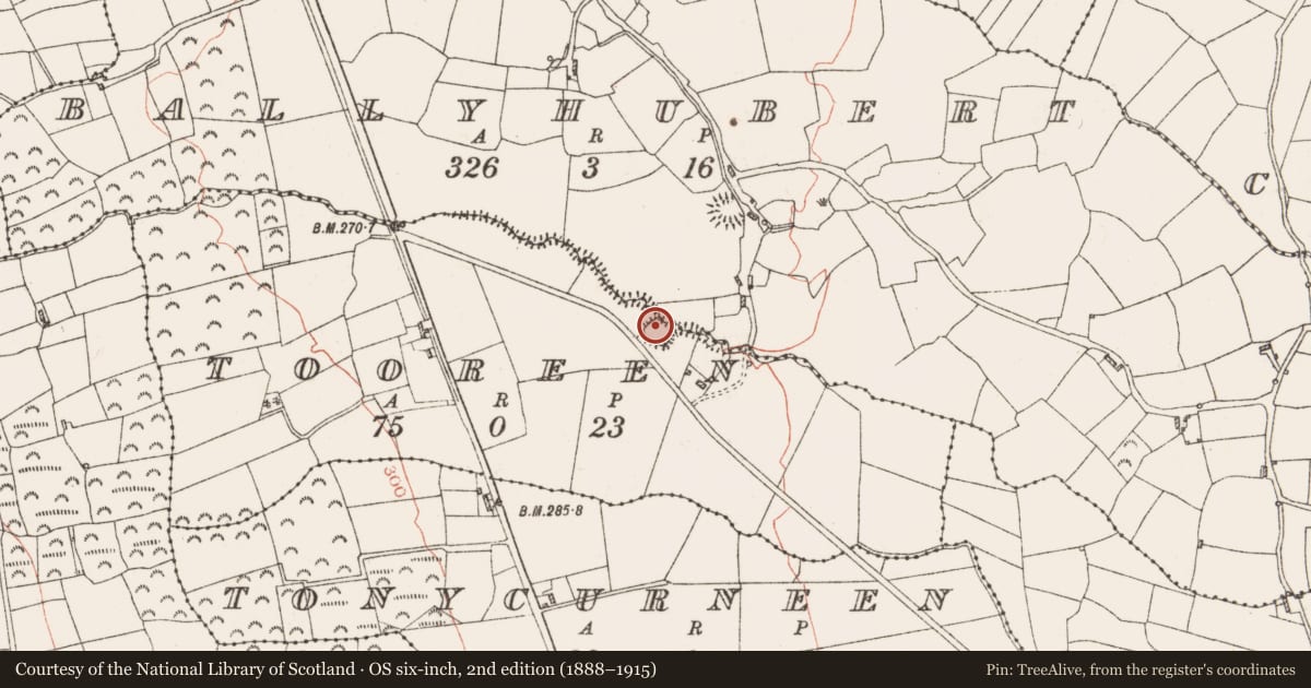 Ordnance Survey six-inch map, 2nd edition (1888–1915) covering the location of Ringfort - rath, Tooreen, County Roscommon, with a pin at the register's coordinates