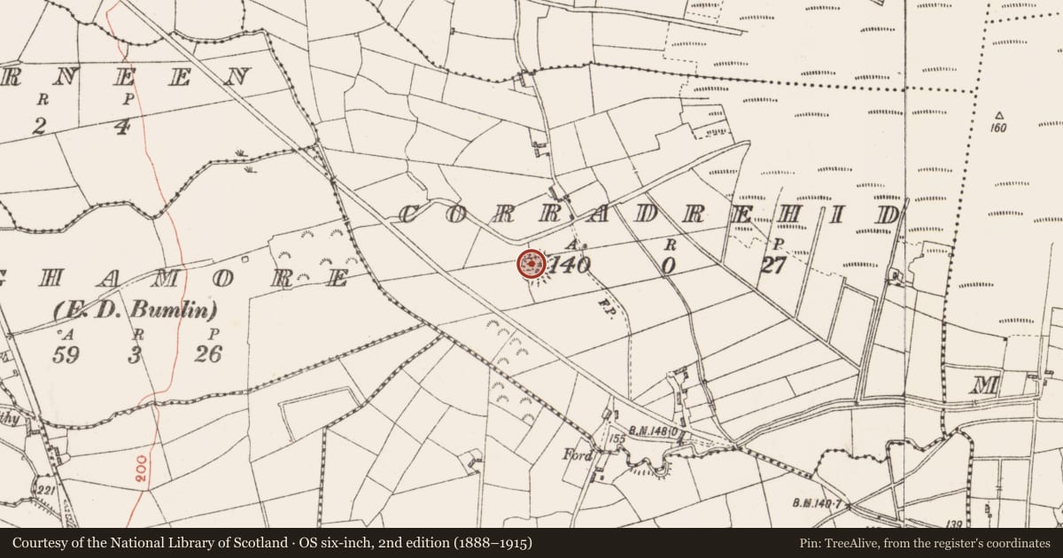 Ordnance Survey six-inch map, 2nd edition (1888–1915) covering the location of Ringfort - rath, Corradrehid, County Roscommon, with a pin at the register's coordinates