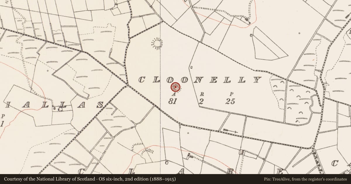 Ordnance Survey six-inch map, 2nd edition (1888–1915) covering the location of Ringfort - rath, Cloonelly, County Roscommon, with a pin at the register's coordinates
