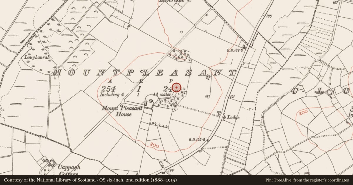 Ordnance Survey six-inch map, 2nd edition (1888–1915) covering the location of Monumental structure, Mountpleasant, County Roscommon, with a pin at the register's coordinates