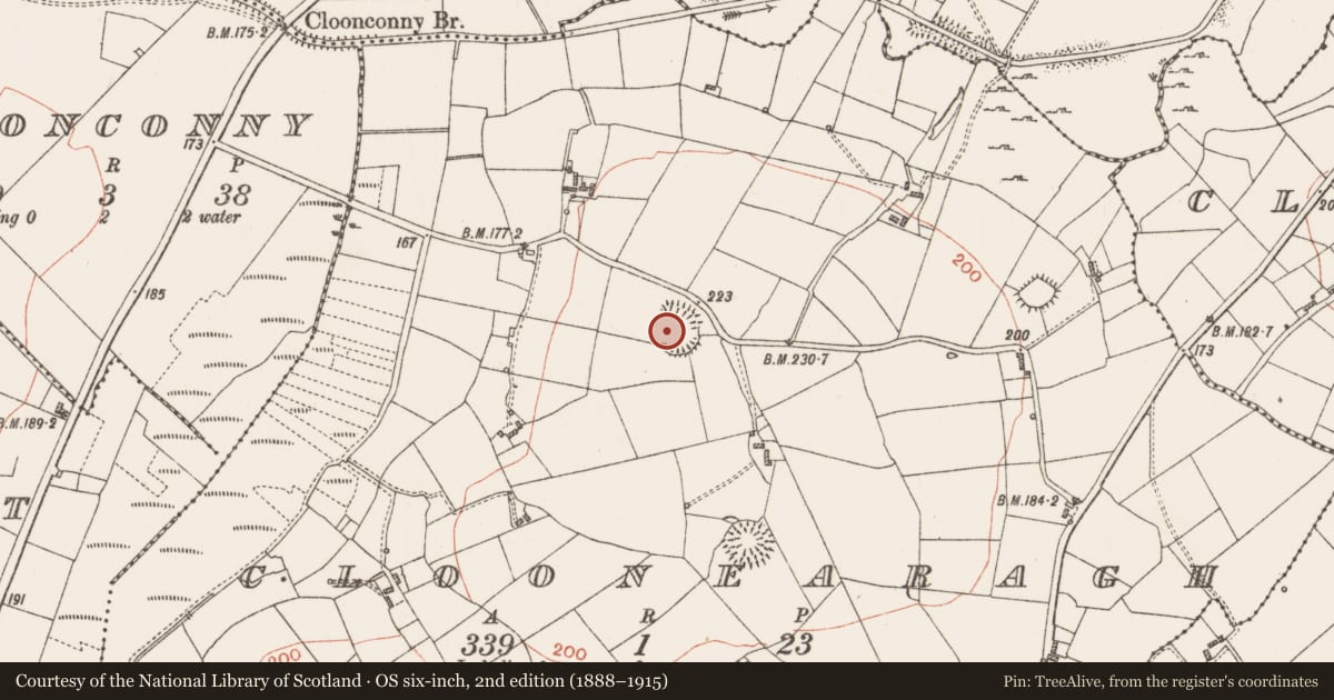 Ordnance Survey six-inch map, 2nd edition (1888–1915) covering the location of Ringfort - rath, Cloonearagh, County Roscommon, with a pin at the register's coordinates