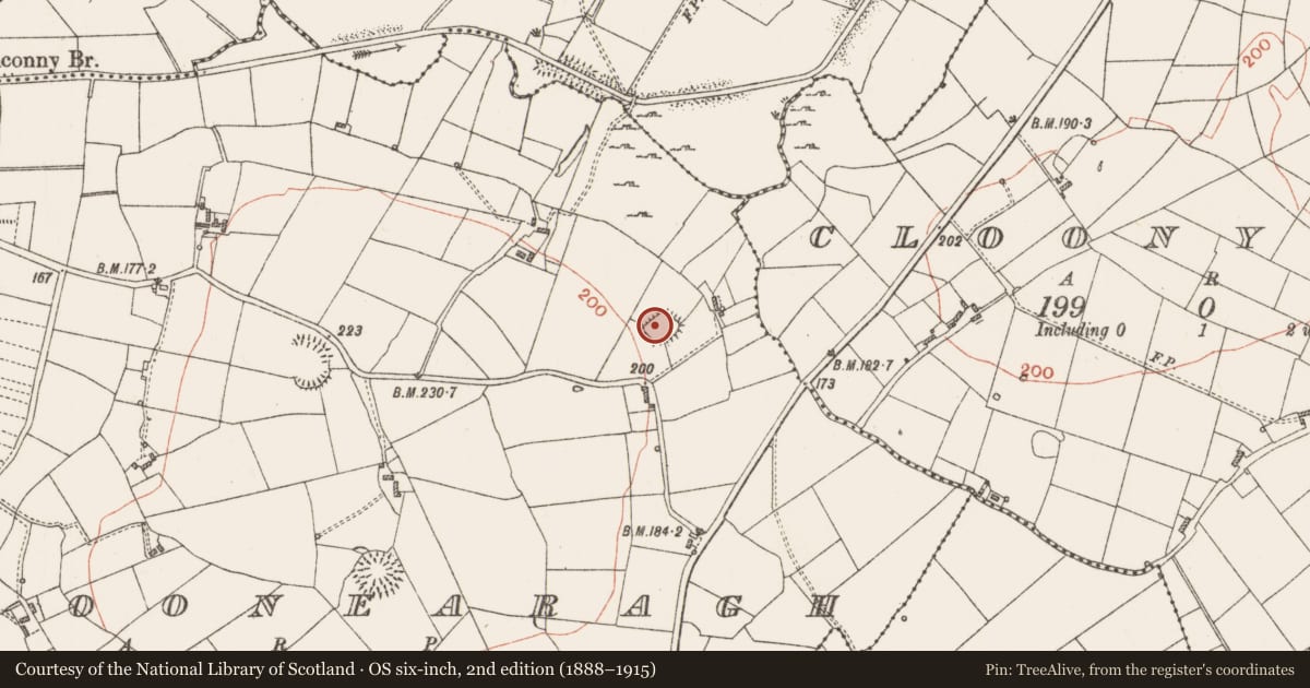 Ordnance Survey six-inch map, 2nd edition (1888–1915) covering the location of Ringfort - rath, Cloonearagh, County Roscommon, with a pin at the register's coordinates