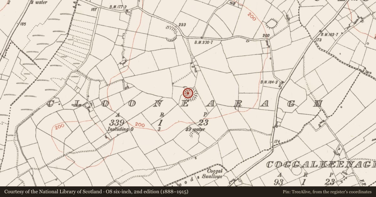 Ordnance Survey six-inch map, 2nd edition (1888–1915) covering the location of Ringfort - rath, Cloonearagh, County Roscommon, with a pin at the register's coordinates
