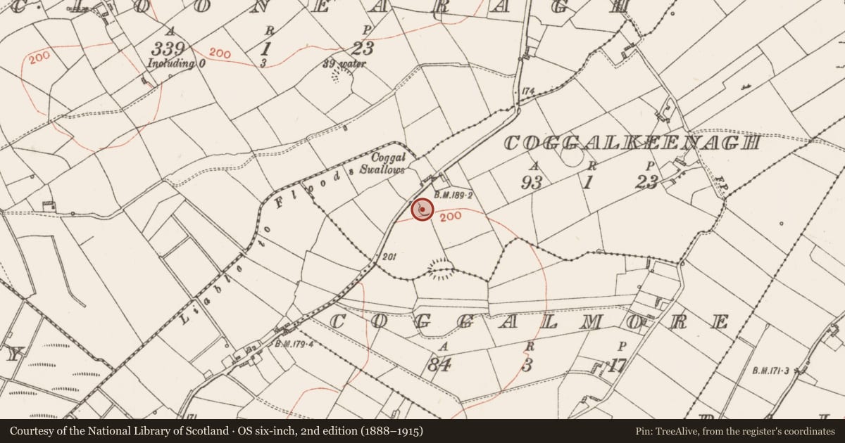 Ordnance Survey six-inch map, 2nd edition (1888–1915) covering the location of Ringfort - rath, Coggalkeenagh, County Roscommon, with a pin at the register's coordinates
