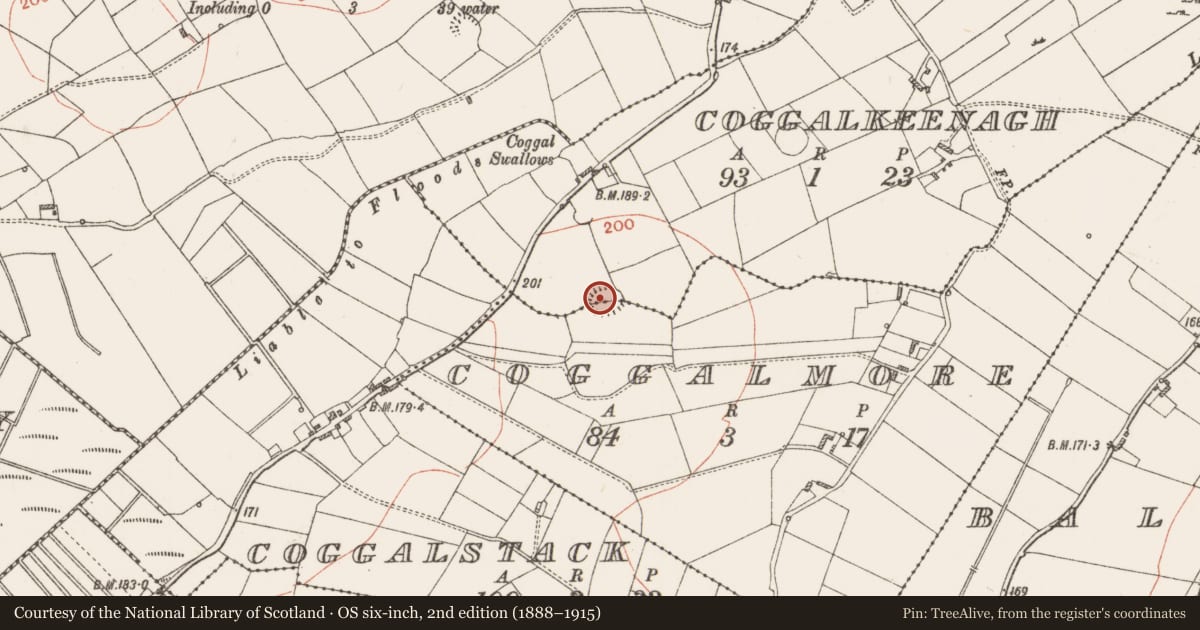 Ordnance Survey six-inch map, 2nd edition (1888–1915) covering the location of Ringfort - rath, Coggalkeenagh, Coggalmore, County Roscommon, with a pin at the register's coordinates