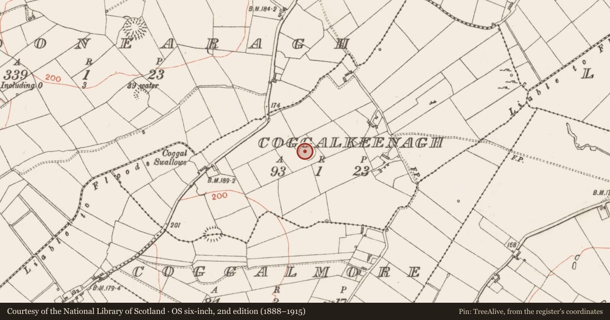 Ordnance Survey six-inch map, 2nd edition (1888–1915) covering the location of Ringfort - rath, Coggalkeenagh, County Roscommon, with a pin at the register's coordinates