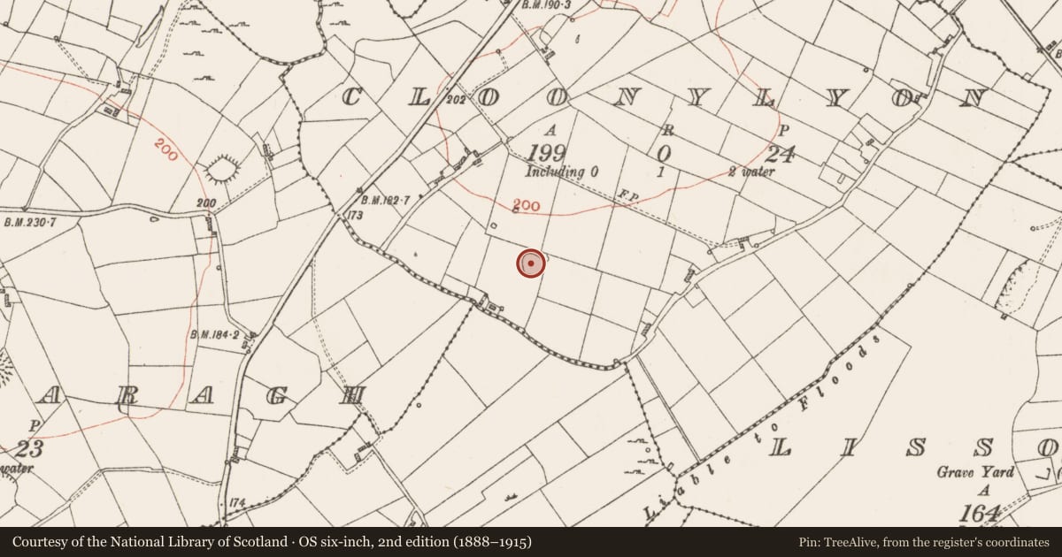 Ordnance Survey six-inch map, 2nd edition (1888–1915) covering the location of Ringfort - rath, Cloonylyon, County Roscommon, with a pin at the register's coordinates