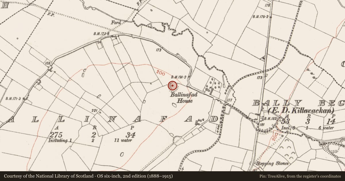 Ordnance Survey six-inch map, 2nd edition (1888–1915) covering the location of Ringfort - rath, Ballinafad, County Roscommon, with a pin at the register's coordinates