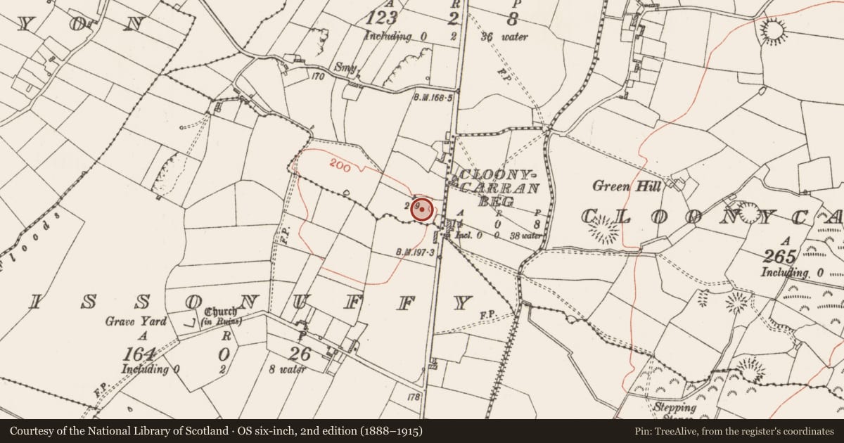 Ordnance Survey six-inch map, 2nd edition (1888–1915) covering the location of Ringfort - rath, Lismeehy, Lissonuffy, County Roscommon, with a pin at the register's coordinates