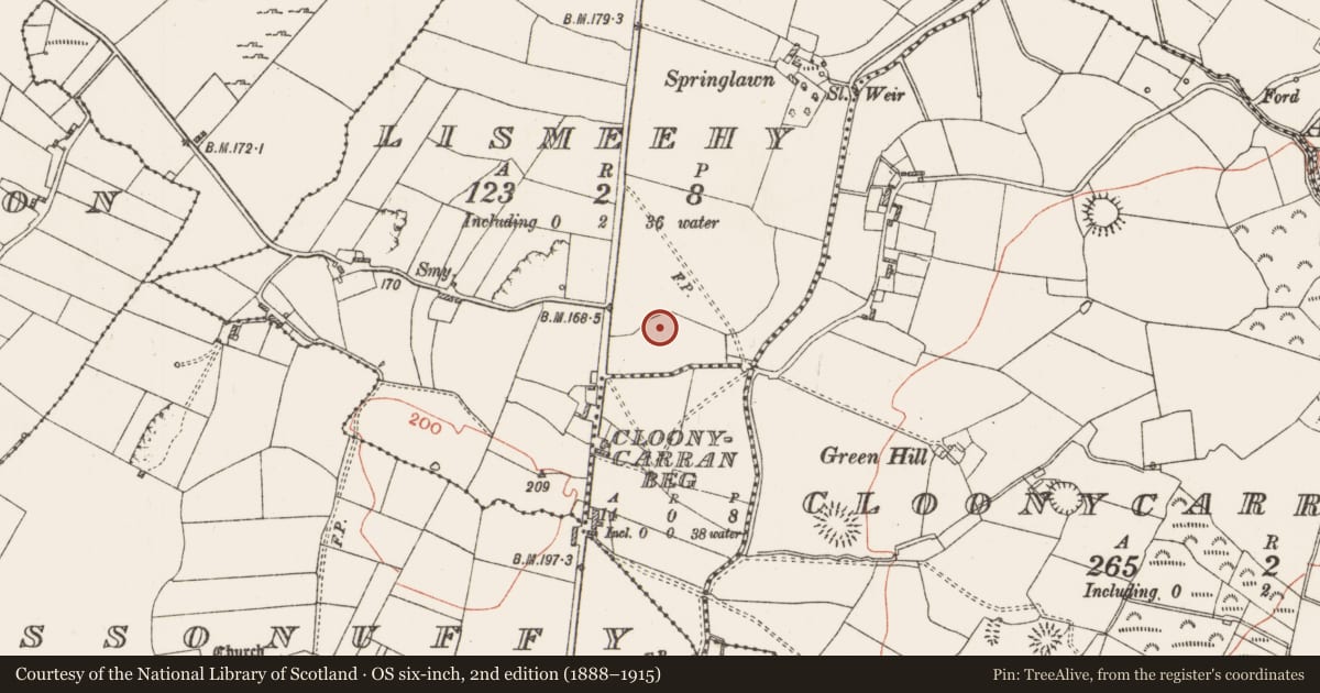 Ordnance Survey six-inch map, 2nd edition (1888–1915) covering the location of Ringfort - rath, Lismeehy, County Roscommon, with a pin at the register's coordinates
