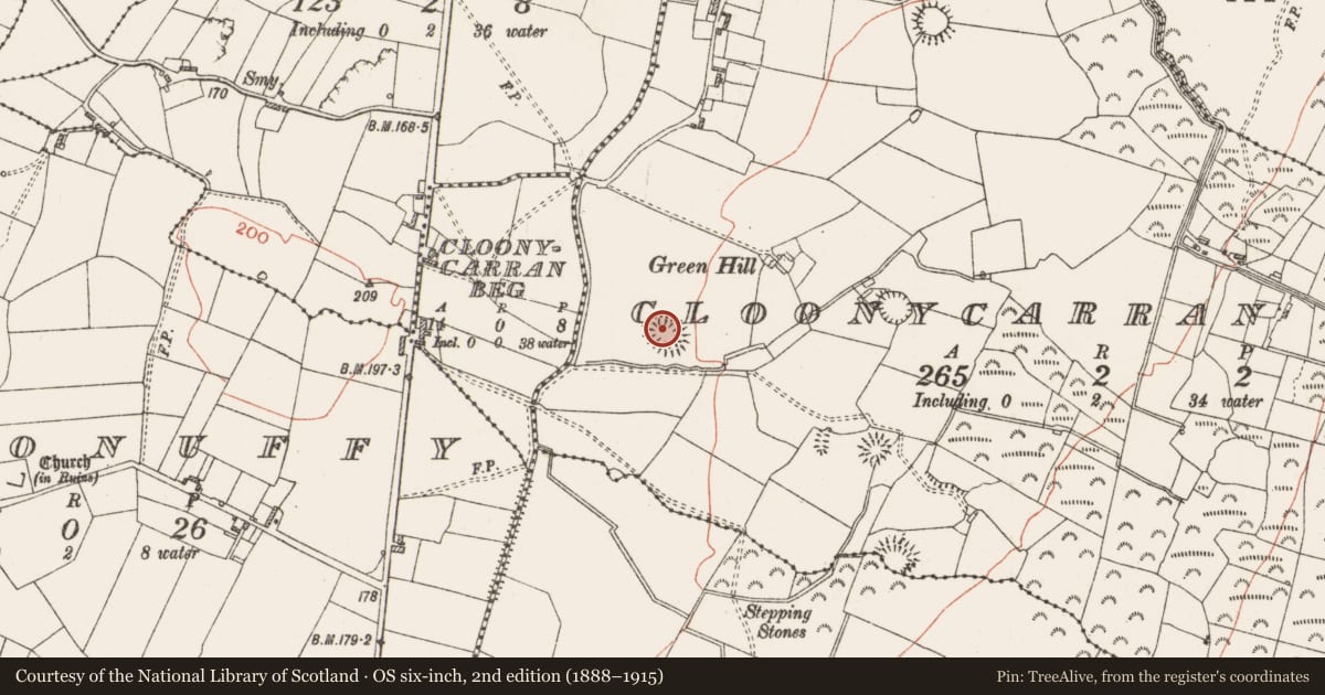 Ordnance Survey six-inch map, 2nd edition (1888–1915) covering the location of Ringfort - rath, Cloonycarran More, County Roscommon, with a pin at the register's coordinates